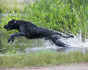 20130713-MHB2-0060.jpg