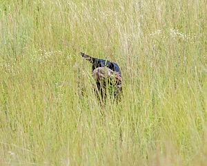 20170806-JHL-0004.jpg