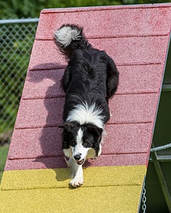 20200819-0350.jpg