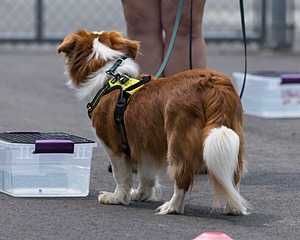 20260718-NSKC-0368.jpg
