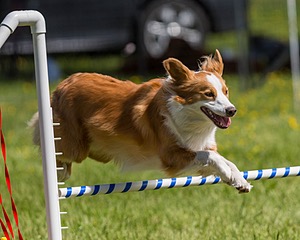 20170521-NEAT-0373.jpg