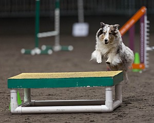 Annie Cirinna