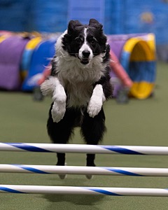 20260221-0644.jpg