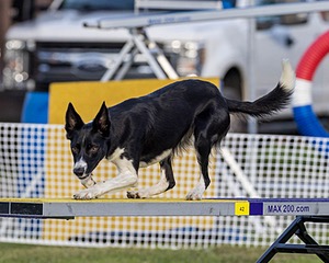 20230916-PVKC-1708.jpg