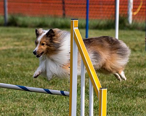 20200819-0340.jpg