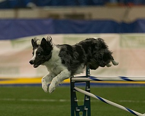 Mack Renauld
