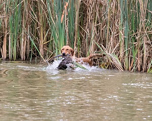 20150913-SEAW-0633.jpg