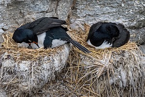 20191214-0350.jpg