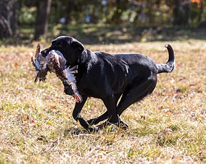 20201011-WCIL-0005.jpg