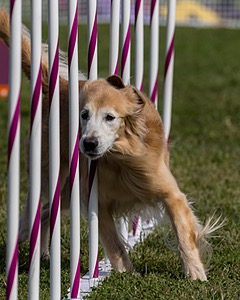 20230916-PVKC-1192.jpg