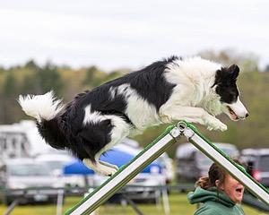 20160515-NEAT-0375.jpg