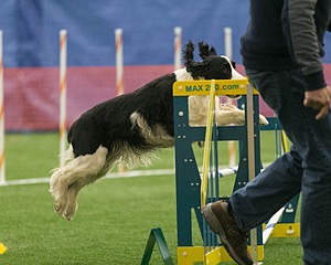 20150321-LEAP-1423.jpg