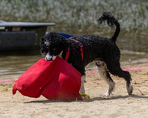 Bohdi Mayo