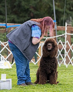2401 - CAT'S' RUSTY CHARLIE RI CGC TKA (Dugan)