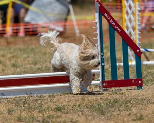 20160619-CCKC-1157.jpg