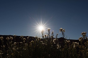 20241021-0268.jpg
