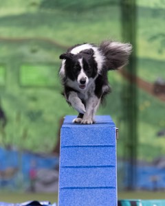 Breeze Schunk