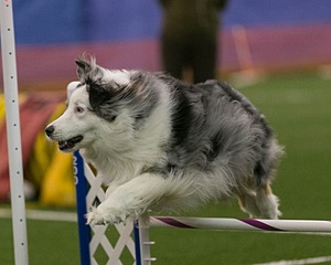 20150321-LEAP-0371.jpg