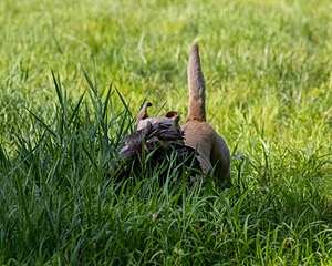 20200809-SHL-0014.jpg
