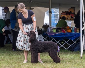 24 - POOLE'S IDE MODERN LOVE CGC (Remi)