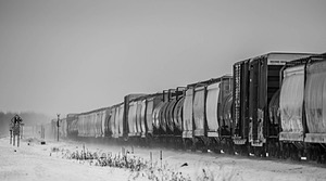 20230203-9819.jpg