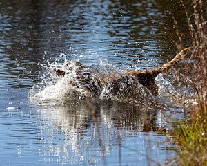 Lucy Kurth