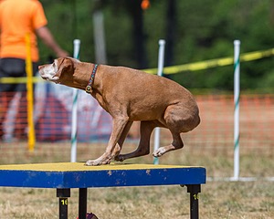 20160619-CCKC-1411.jpg
