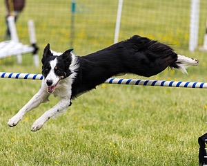 20160515-NEAT-1343.jpg