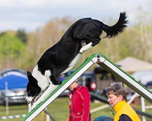 20160515-NEAT-0013.jpg
