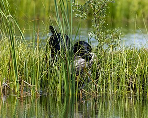 20260726-SHW-0008.jpg