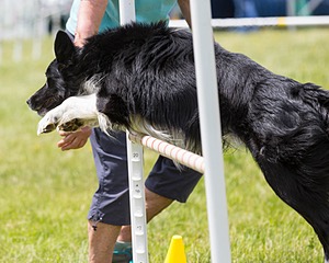 20160514-NEAT-0718.jpg