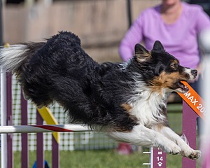 20230916-PVKC-1382.jpg