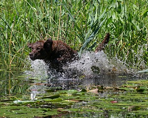 20130810-JHW-0026.jpg