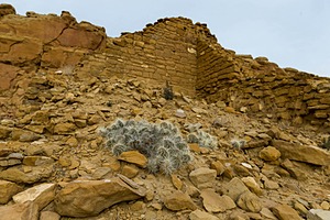 20151204-0510.jpg