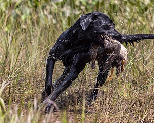 20210807-SHW-0104.jpg