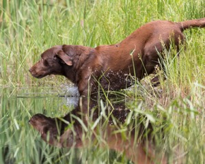20160604-SEAW-0007.jpg