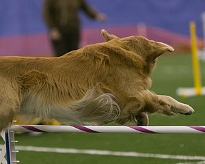20150321-LEAP-0331.jpg