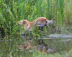 20130713-MHB2-0301.jpg