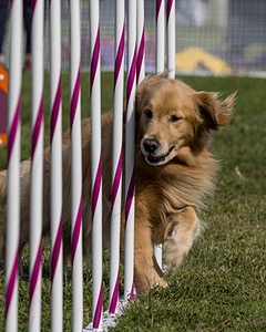 20230916-PVKC-1320.jpg