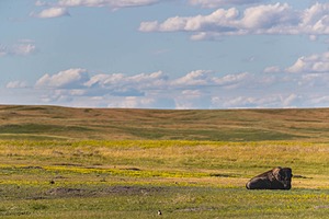 20200618-1739.jpg