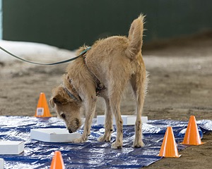 20260718-NSKC-0133.jpg