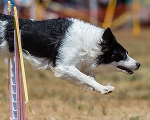20160619-CCKC-1034.jpg