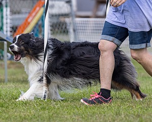 20230917-PVKC-2780.jpg
