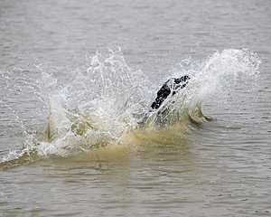 20150913-SEAW-0656.jpg