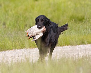20080531-HRL-0241.jpg