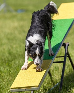 Jaxx Erskine