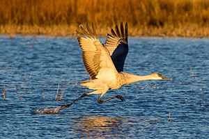 20151206-1529.jpg