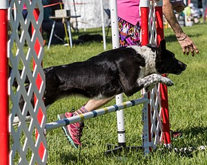 20170520-NEAT-0499.jpg