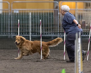 Pup-Pup Beaulieu