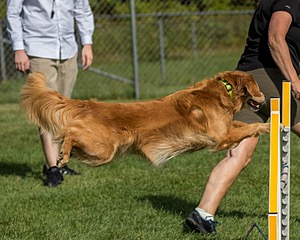 20200819-0828.jpg